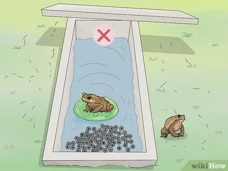 Убить жаб, шаг 10