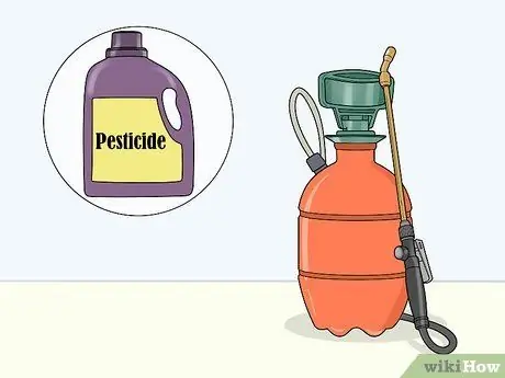 Убить жаб, шаг 7