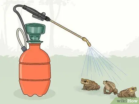 Убить жаб, шаг 8