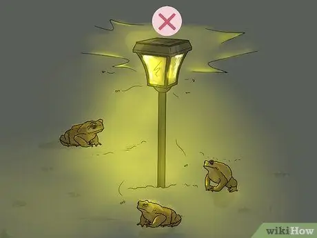 Убить жаб, шаг 9