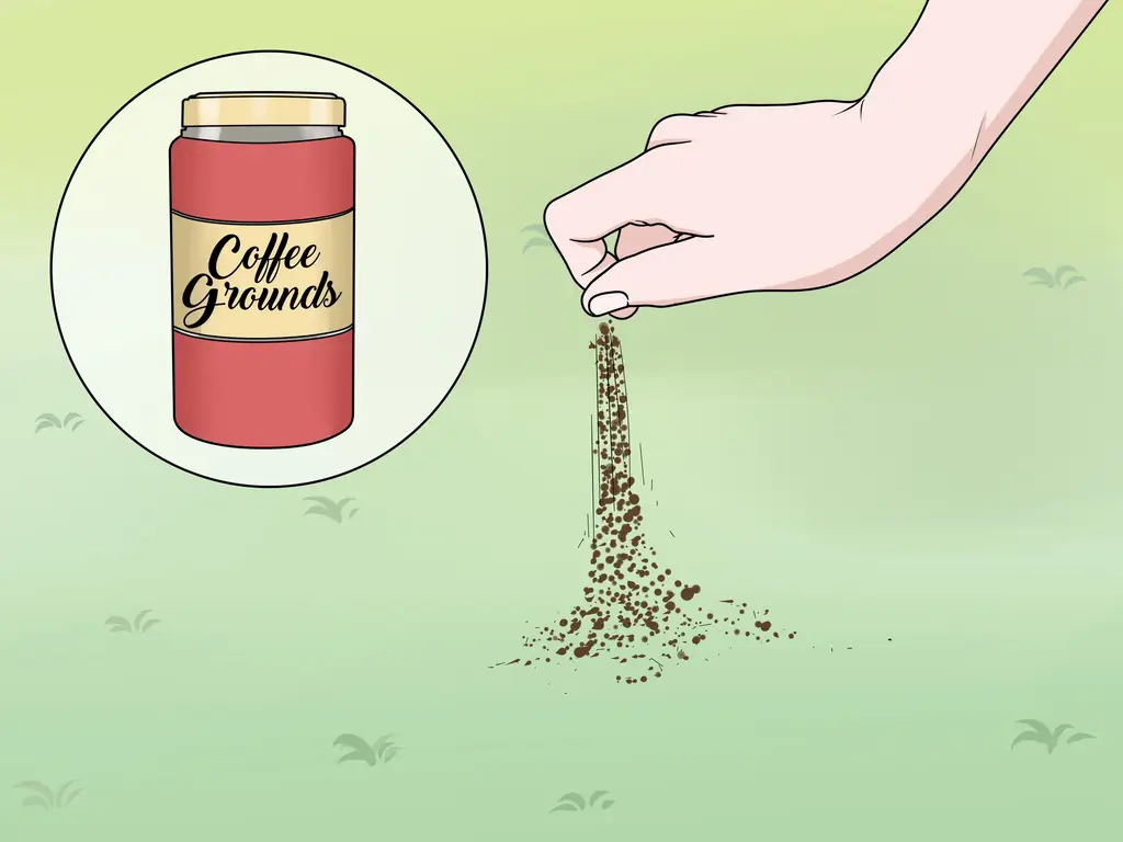 3 способа убить и отпугнуть инвазивных жаб