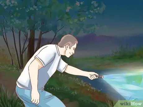 Держите пойманную жабу в качестве домашнего питомца Шаг 10