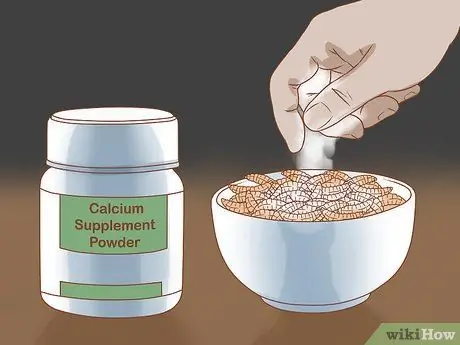 Держите пойманную дикая жаба в качестве домашнего питомца Шаг 9