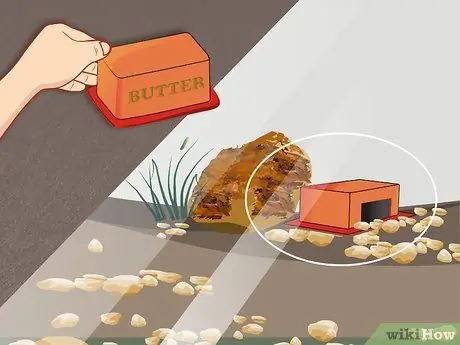 Создание террариума для американской жабы (Bufor Americanus) Шаг 7