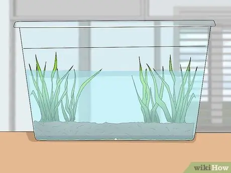 Поднять жабу Шаг 2