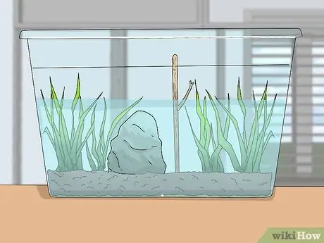 Поднять жабу Шаг 3