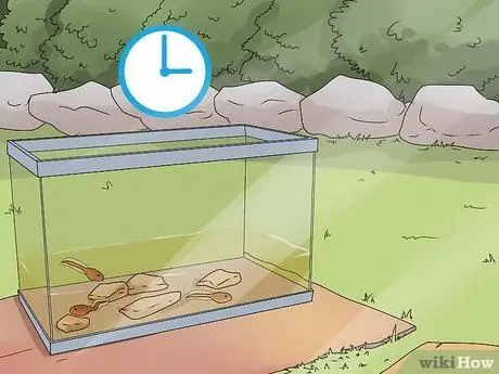 Поднять жабу Шаг 5