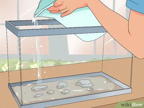 Поднять жабу Шаг 6