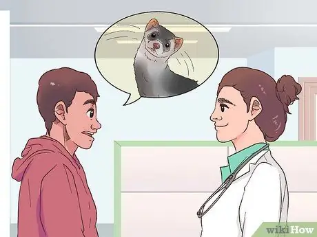 Выявление признаков болезни у хорька Шаг 3