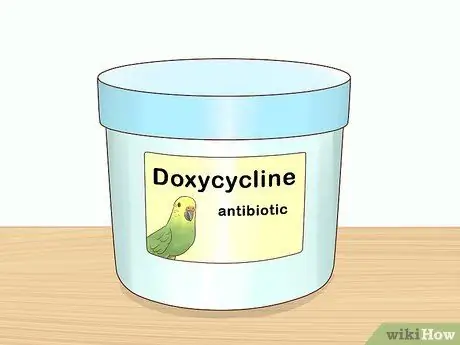 Лечить хламидиоз у попугаев Шаг 6