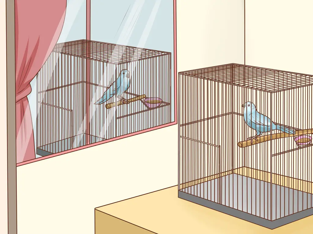 Как лечить хламидиоз у попугаев: 11 шагов (с иллюстрациями)