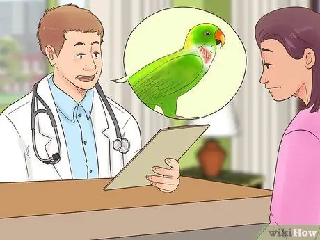 Лечить полиомавирус у попугаев Кайке Шаг 7