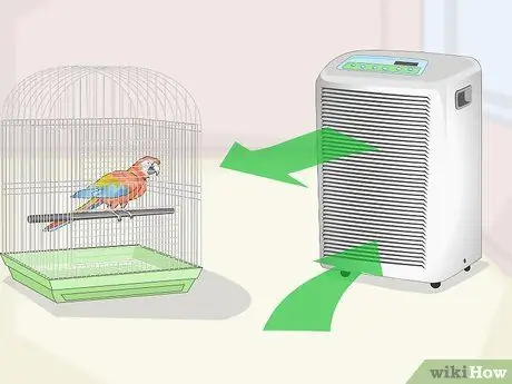 Лечить аллергию у ара Шаг 2