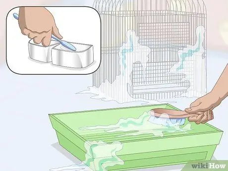 Лечить аллергию у ара Шаг 3