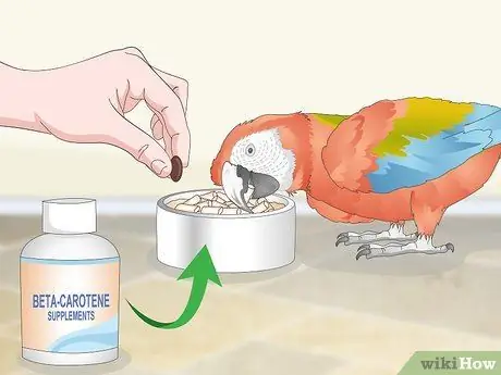 Лечить аллергию у ара Шаг 7