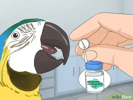 Лечить болезнь истощения ара Шаг 10