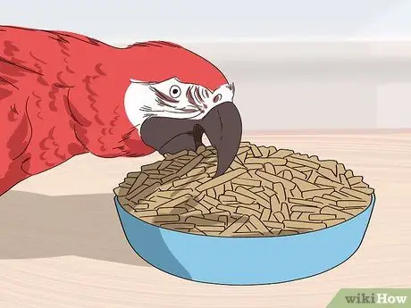 Лечить болезнь истощения ара Шаг 11