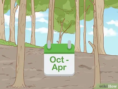 Кормить синицу с руки, шаг 1