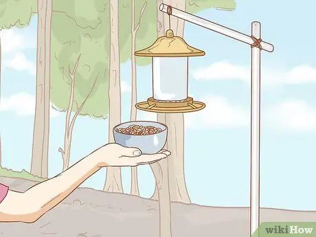 Кормить синицу с руки Шаг 10