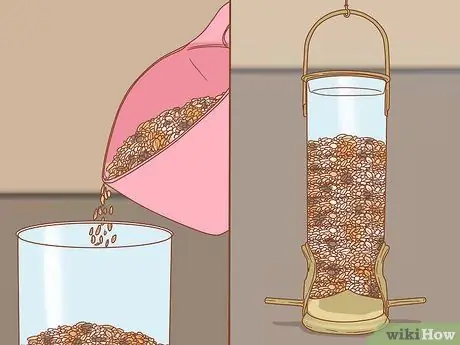 Кормить синицу с руки Шаг 13