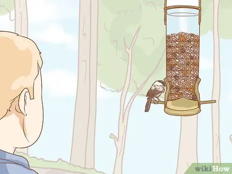 Кормить синицу с руки Шаг 14