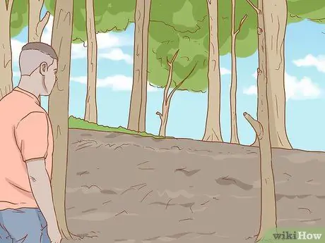 Кормить синицу с руки, шаг 2