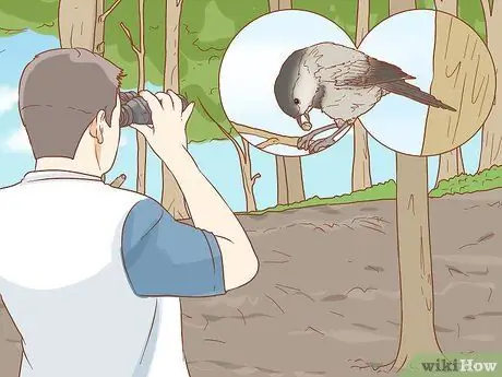 Кормить синицу с руки, шаг 3