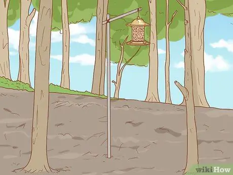 Кормить синицу с руки, шаг 4