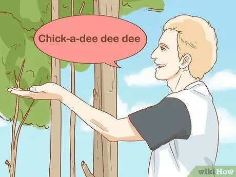 Кормить синицу с руки Шаг 7