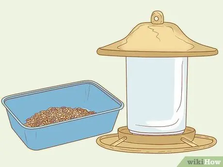 Кормить синицу с руки Шаг 9