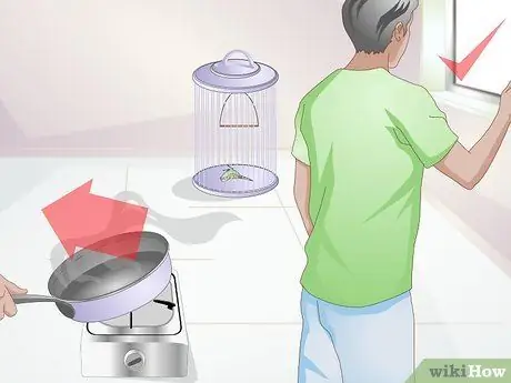 Избегайте отравления вашей домашней птицы Шаг 12