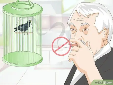 Избегайте отравления вашей домашней птицы Шаг 8