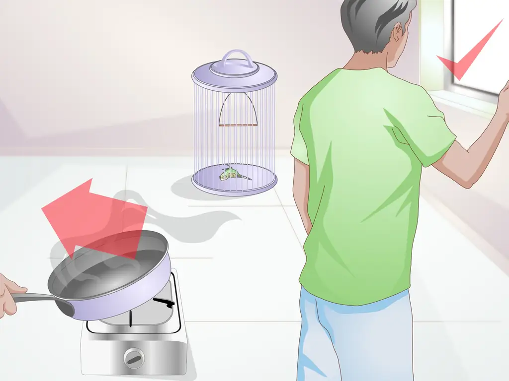 3 способа избежать отравления вашей домашней птицы