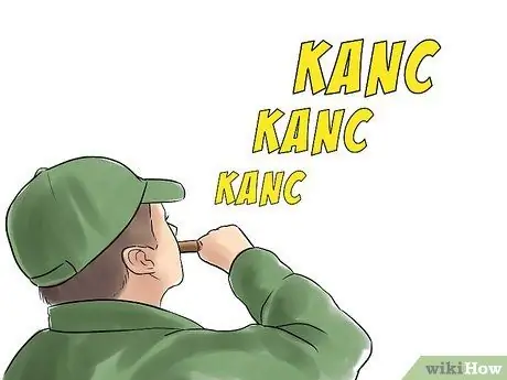 Call Ducks Шаг 11