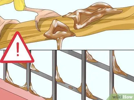 Выберите канарейку Шаг 14