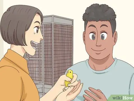 Выберите канарейку Шаг 9