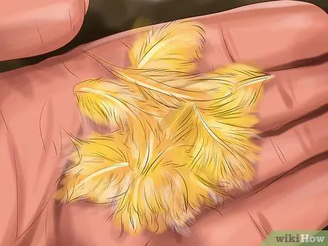 Заставьте канарейку спеть Шаг 10