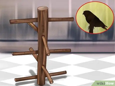 Заставьте канарейку спеть Шаг 7