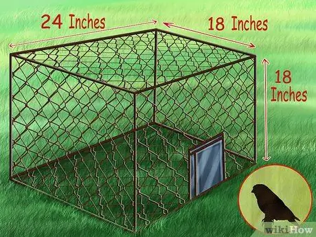 Заставьте канарейку спеть Шаг 8