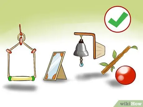 Развлекайте канарейку Шаг 4