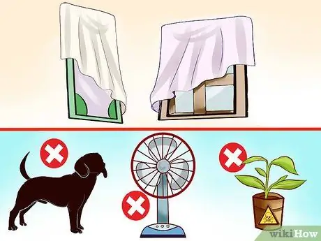 Развлекайте канарейку Шаг 6