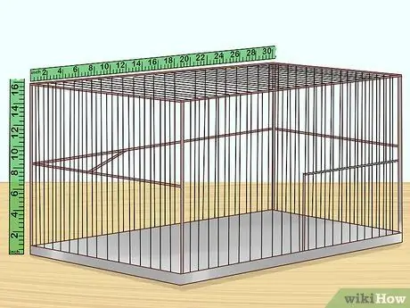 Держите одну канарейку Шаг 1