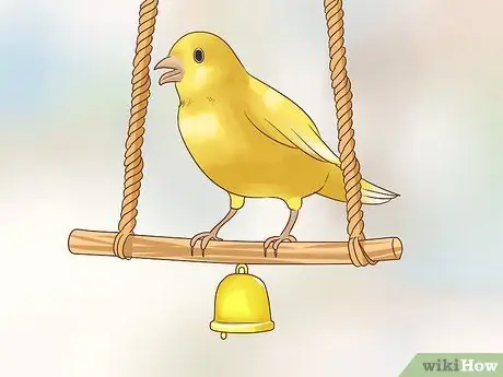 Держите одну канарейку Шаг 11
