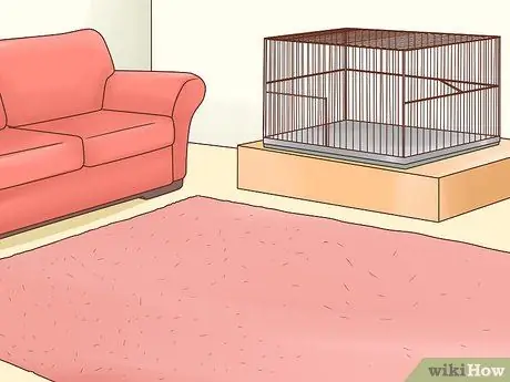 Держите одну канарейку Шаг 2