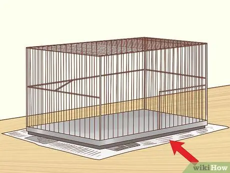 Держите одну канарейку Шаг 3