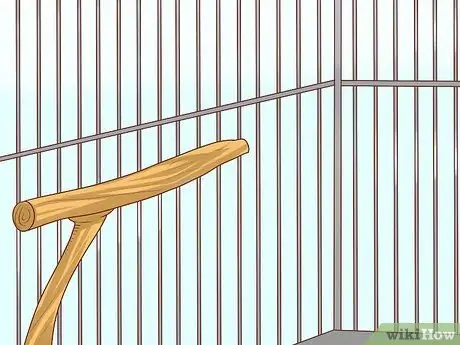 Держите одну канарейку Шаг 4