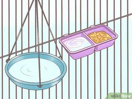 Держите одну канарейку Шаг 5