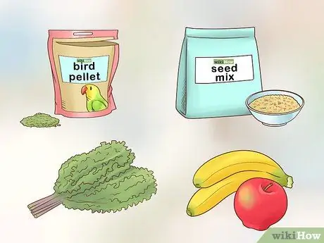 Держите одну канарейку Шаг 6