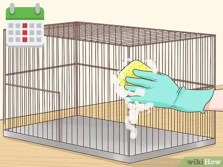 Держите одну канарейку Шаг 8