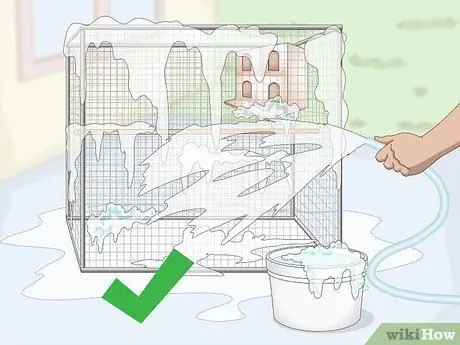 Лечить птичью оспу у канареек Шаг 4